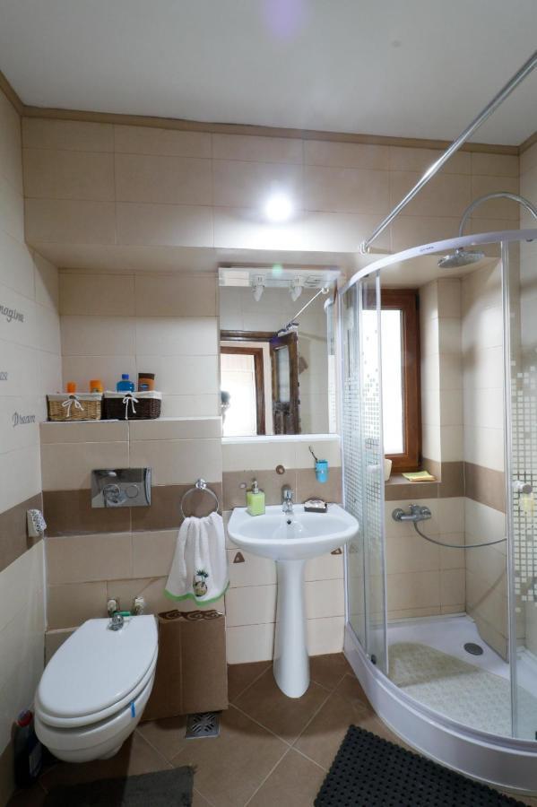 Danielle Apartament Iasi Exterior photo